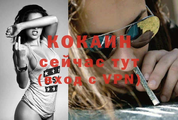 apvp Арсеньев