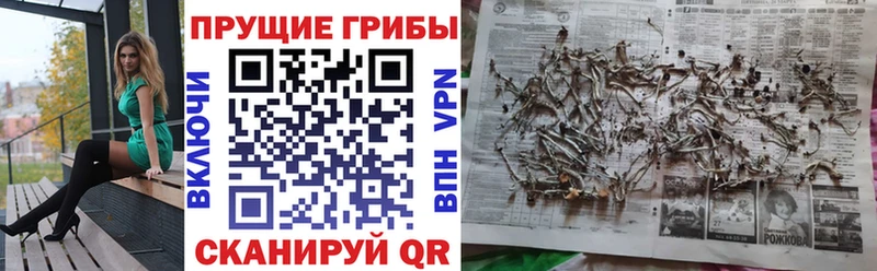Галлюциногенные грибы прущие грибы  Реж 